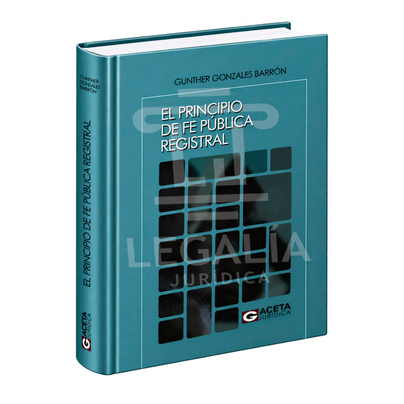 EL PRINCIPIO DE FE PUBLICA REGISTRAL 78 EL PRINCIPIO DE FE PUBLICA REGISTRAL