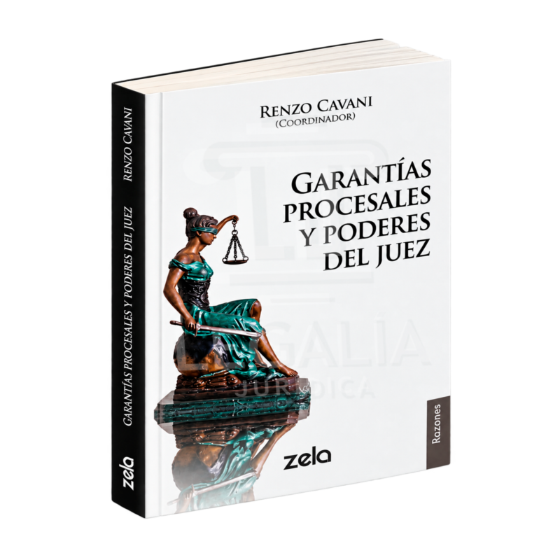 GARANTÍAS PROCESALES Y PODERES DEL JUEZ 4 Garantías procesales y poderes del juez de Renzo Cavani