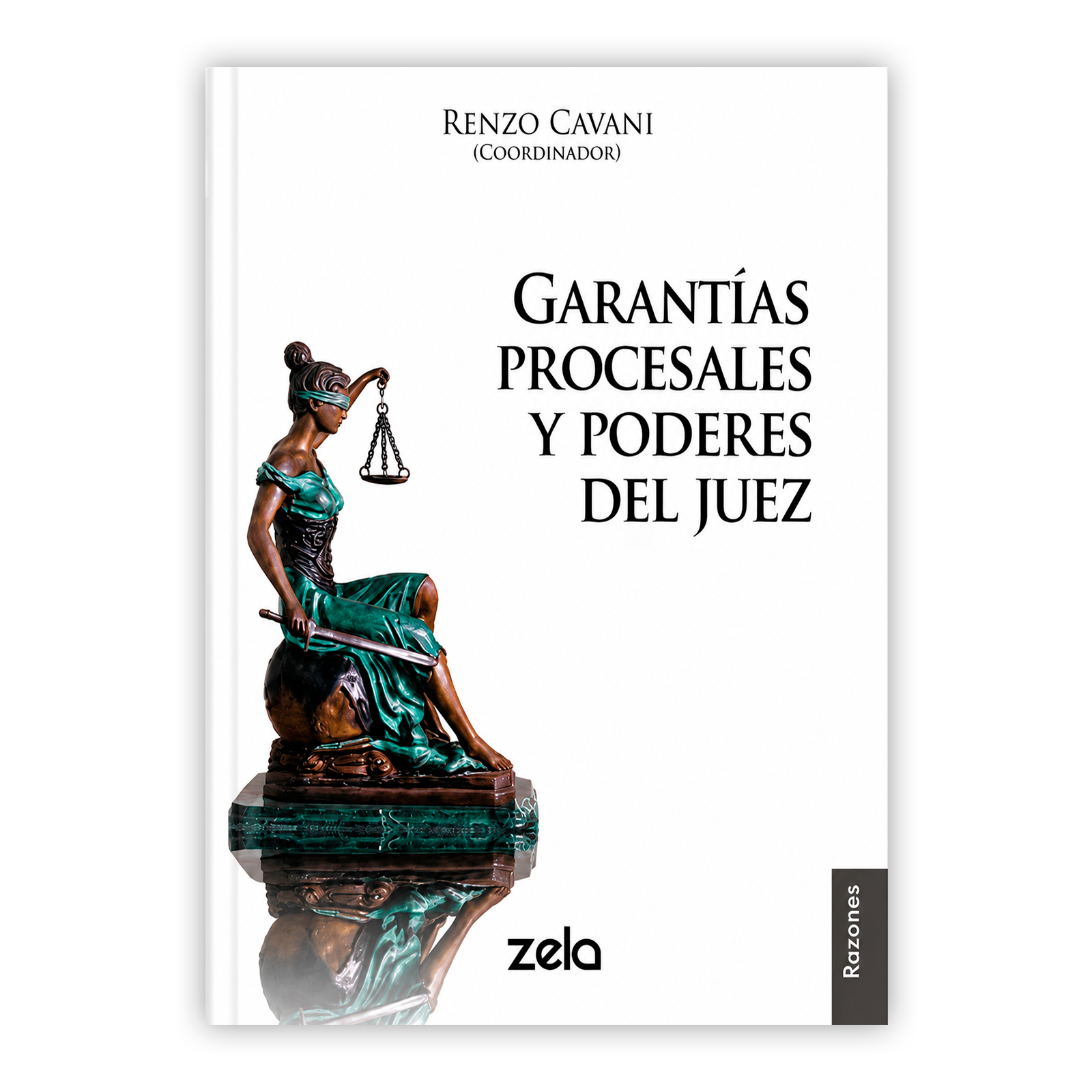 GARANTIAS PROCESALES Y PODERES DEL JUEZ PORTADA GARANTIAS PROCESALES Y PODERES DEL JUEZ PORTADA