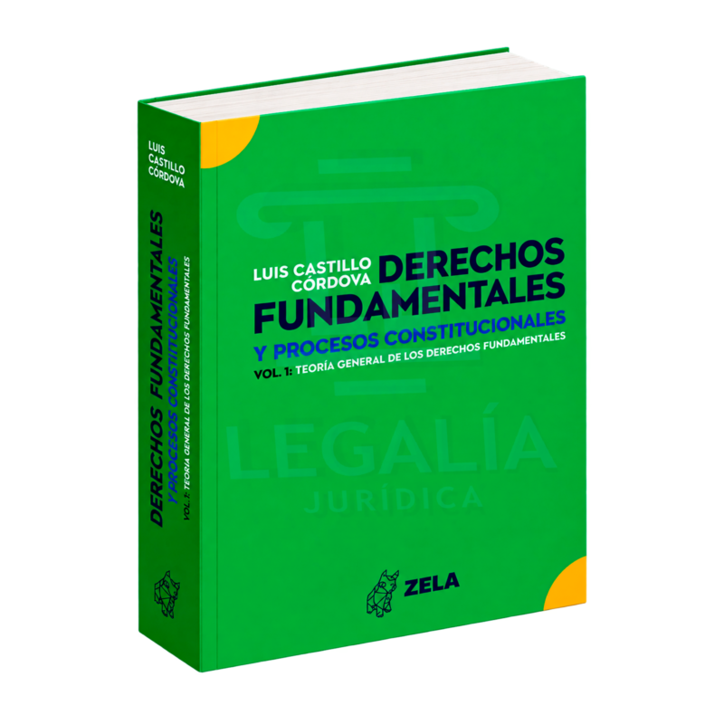 DERECHOS FUNDAMENTALES Y PROCESOS CONSTITUCIONALES 2 Derechos fundamentales y procesos constitucionales de Luis Castillo Córdova
