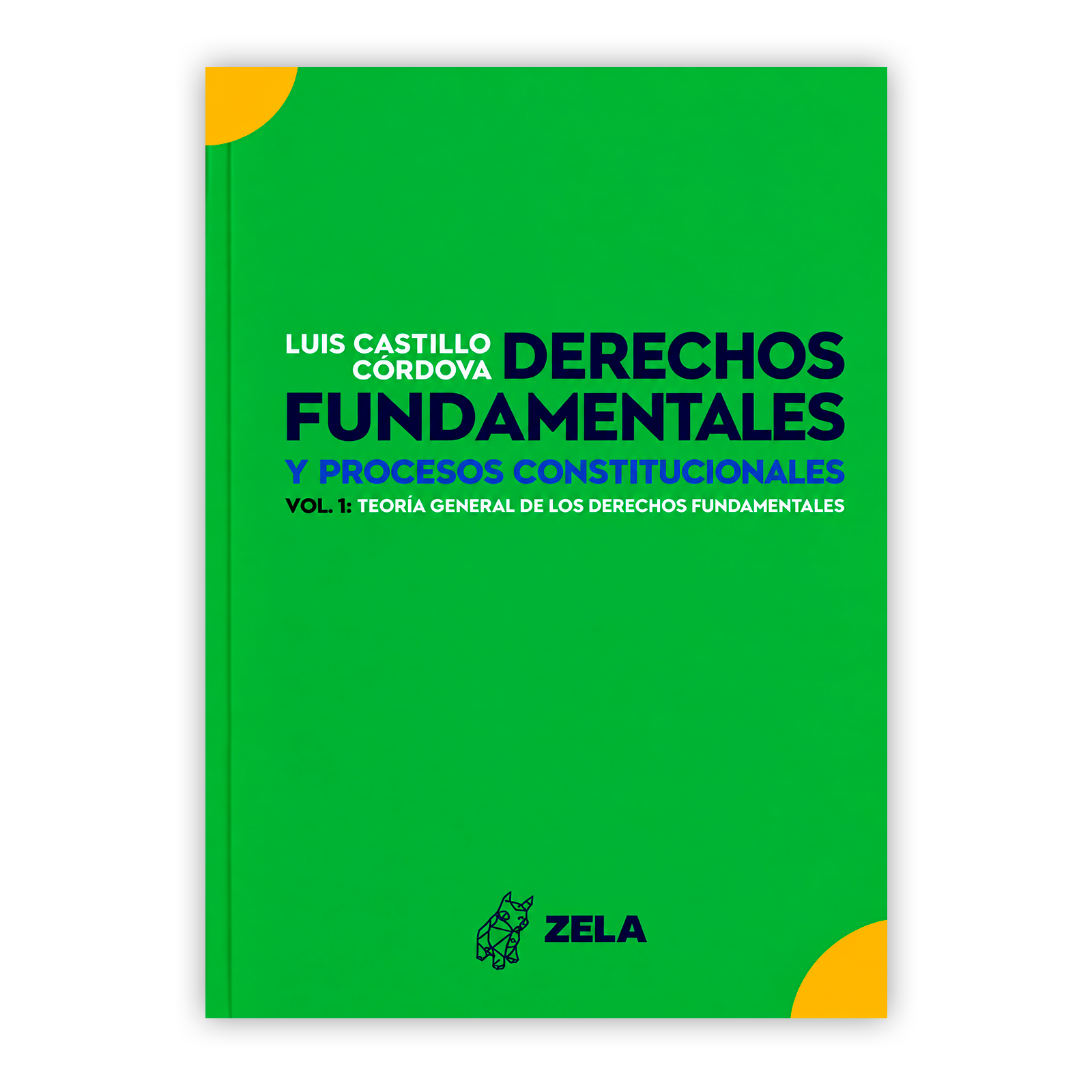 DERECHOS FUNDAMENTALES PORTADA DERECHOS FUNDAMENTALES PORTADA