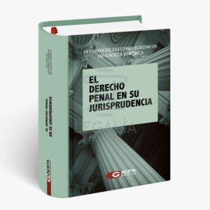 EL DERECHO PENAL EN SU JURISPRUDENCIA