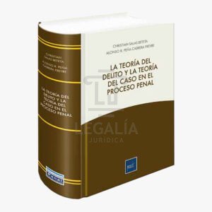 LA TEORIA DEL DELITO Y LA TEORIA DEL CASO EN EL PROCESO PENAL PACIFICO