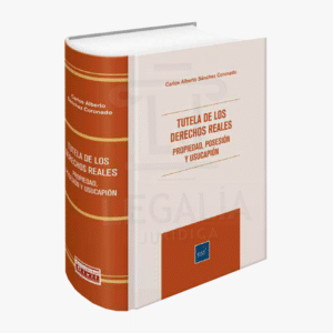 TUTELA DE LOS DERECHOS REALES