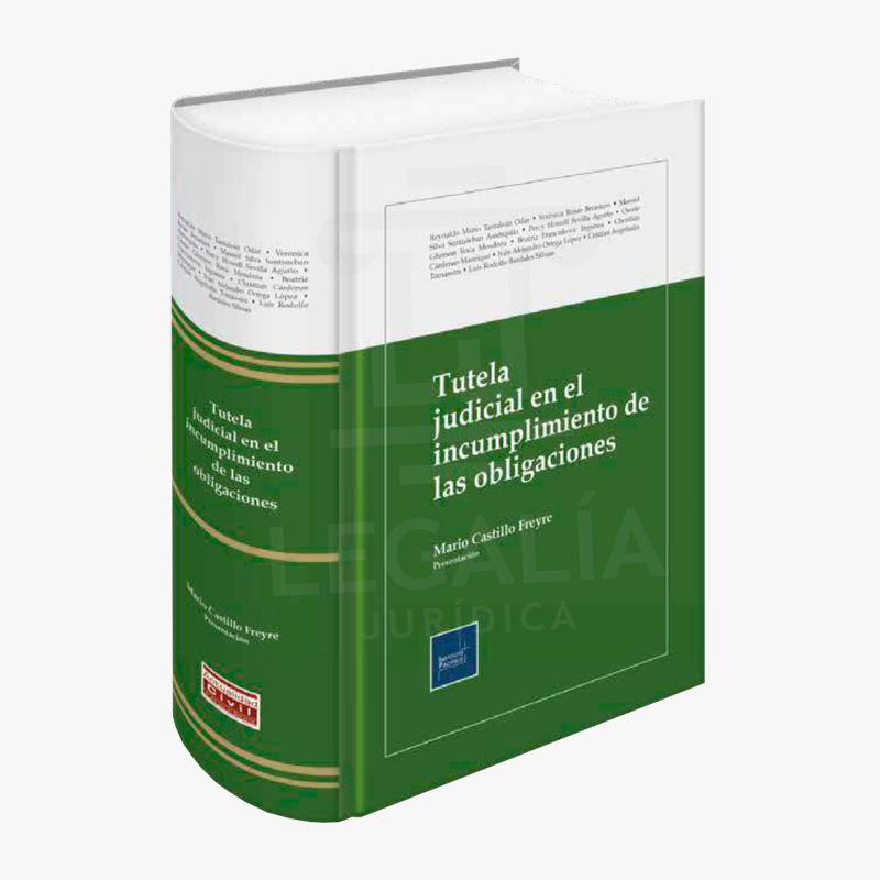 TUTELA JUDICIAL EN EL INCUMPLIMIENTO DE LAS OBLIGACIONES