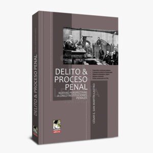 delito y proceso penal san martin jurista