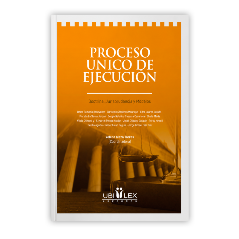proceso de ejecucion