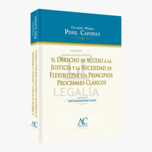 EL DERECHO DE ACCESO A LA JUSTICIA Y LA NECESIDAD DE FLEXIBILIZAR LOS PRINCIPIOS PROCESALES CLASICOS ac