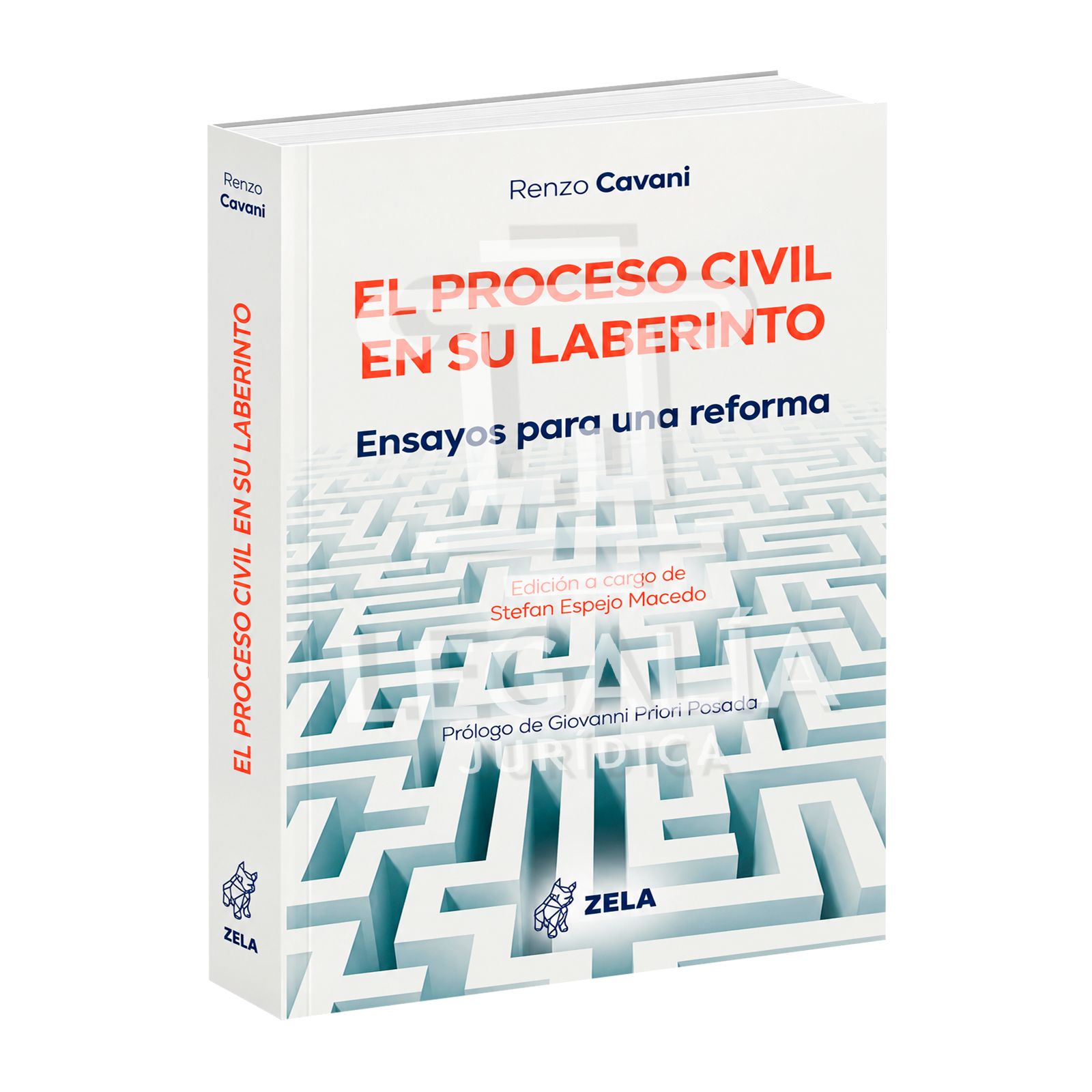 El proceso civil en su laberinto – Ensayos para una reforma El proceso civil en su laberinto ensayos para una reforma libro de derecho procesal civil