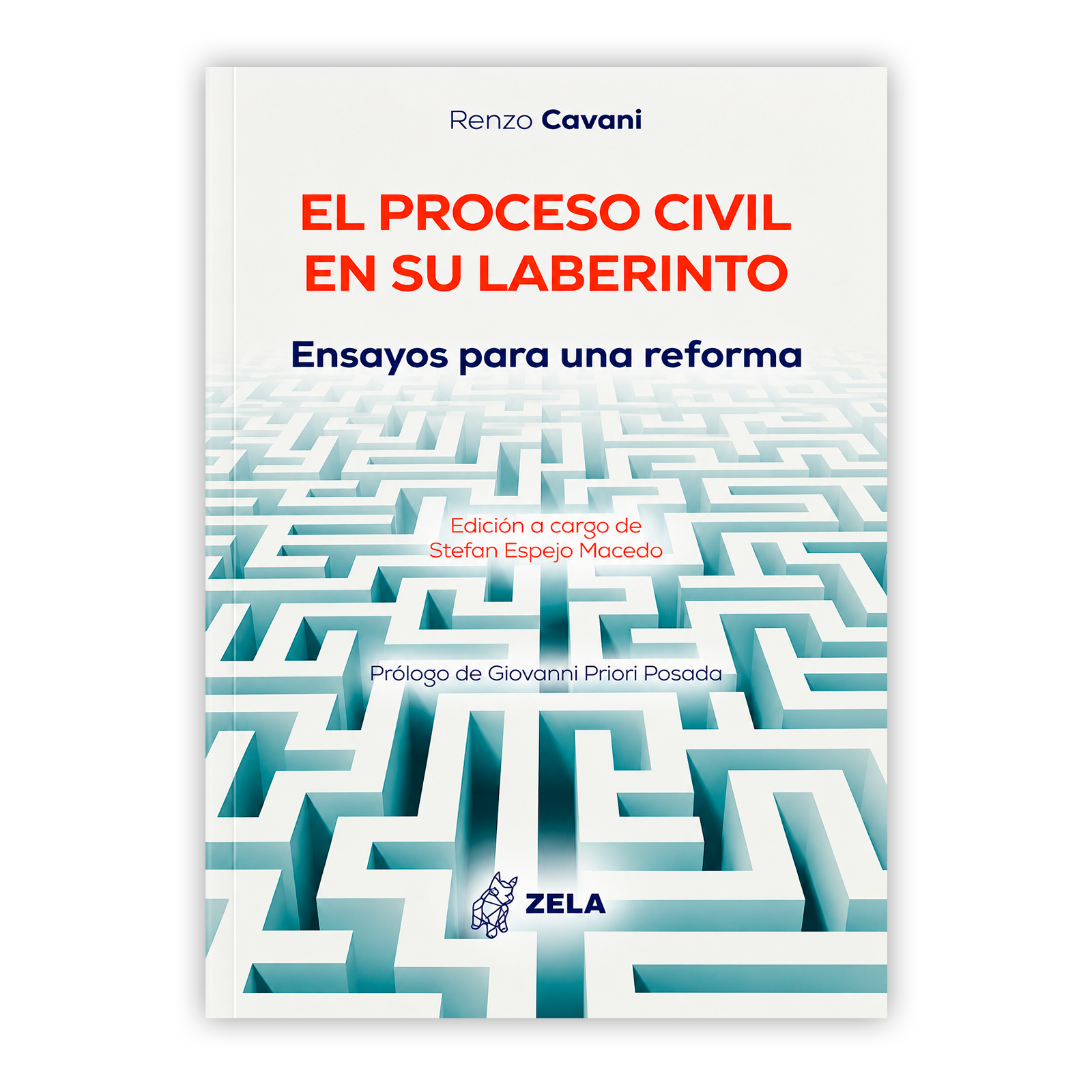 EL PROCESO CIVIL EN SU LABERINTO PORTADA EL PROCESO CIVIL EN SU LABERINTO PORTADA