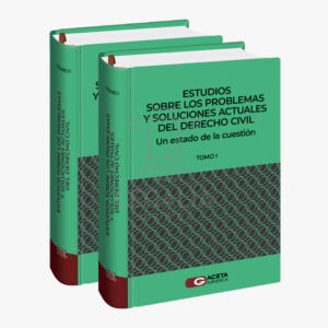 ESTUDIOS SOBRE LOS PROBLEMAS Y SOLUCIONES ACTUALES DEL DERECHO CIVIL. UN ESTADO DE LA CUESTION 2 TOMOS