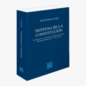 DEFENSA DE LA CONSTITUCION