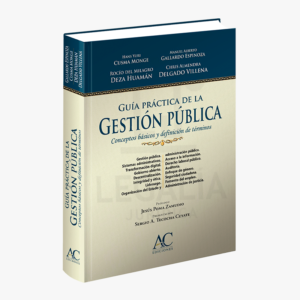 guia practica de gestion publica