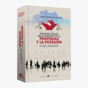 PROCESOS CIVILES RELACIONADOS CON LA PROPIEDAD Y LA POSESION