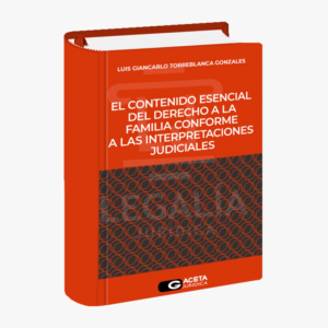 EL CONTENIDO ESENCIAL DEL DERECHO A LA FAMILIA CONFORME A LAS INTERPRETACIONES JUDICIALES