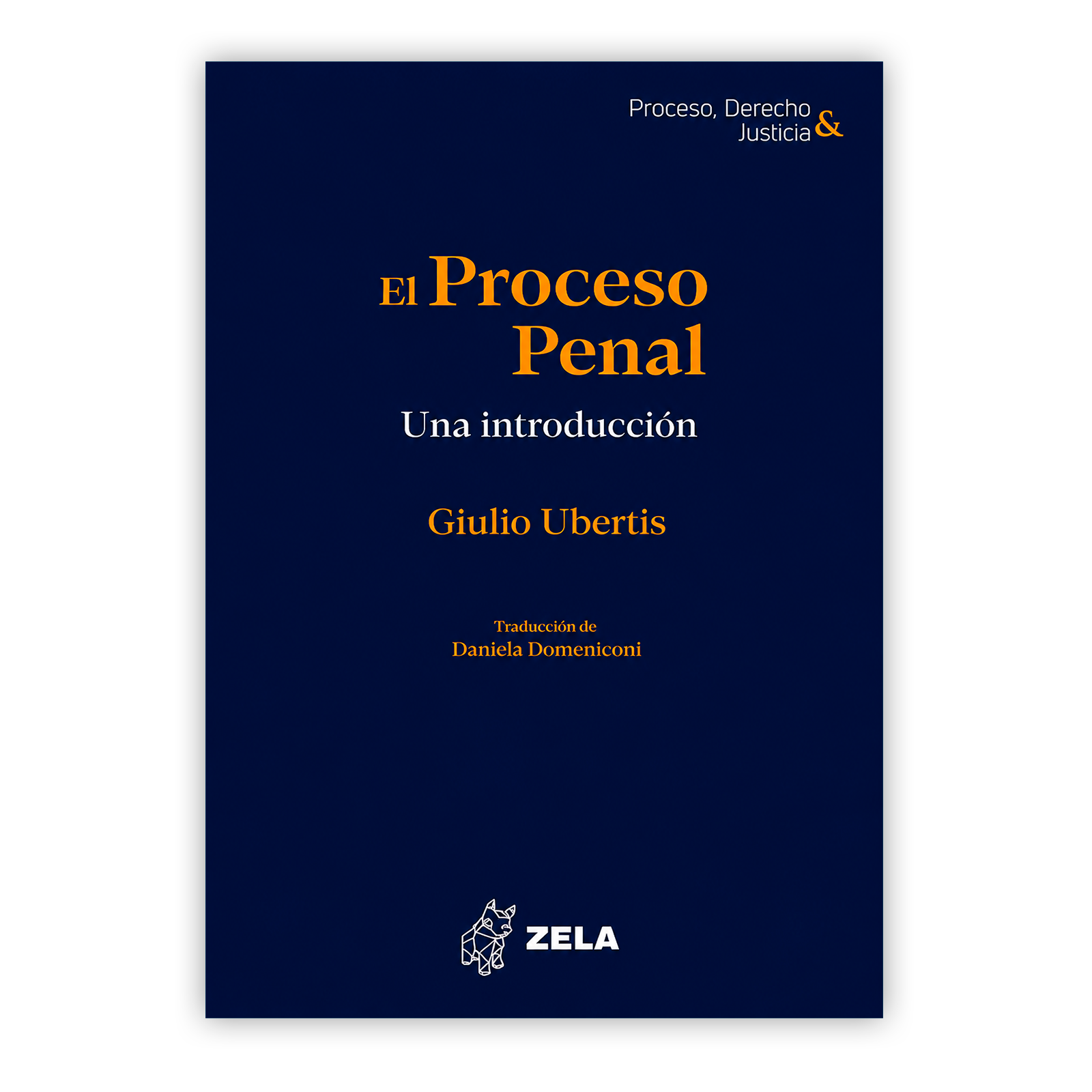 EL PROCESO PENAL UNA INTRODUCCION PORTADA EL PROCESO PENAL UNA INTRODUCCION PORTADA