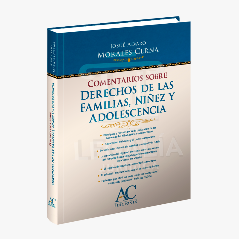 COMENTARIOS SOBRE DERECHOS DE LAS FAMILIAS, NIÑEZ Y ADOLESCENCIA 6 COMENTARIOS SOBRE DERECHO DE LAS FAMILIAS