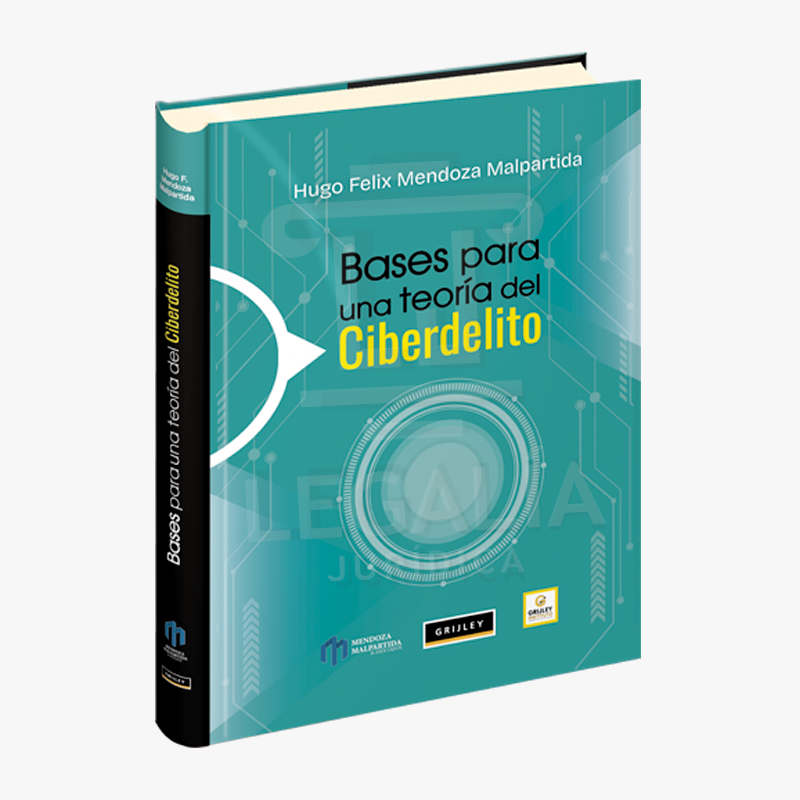 BASES PARA UNA TEORIA DEL CIBERDELITO