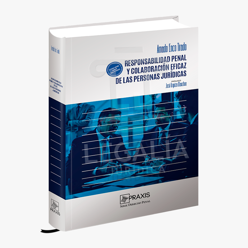 RESPONSABILIDAD PENAL Y COLABORACION EFICAZ