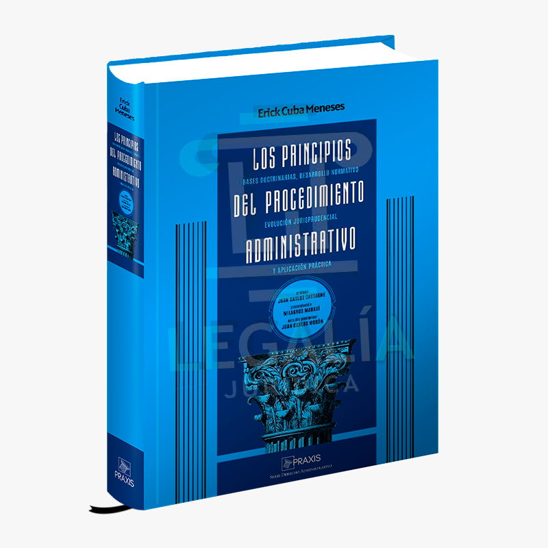 LOS PRINCIPIOS DEL PROCEDIMIENTO ADMINISTRATIVO 20 LOS PRINCIPIOS DEL PROCEDIMIENTO ADMINISTRATIVO