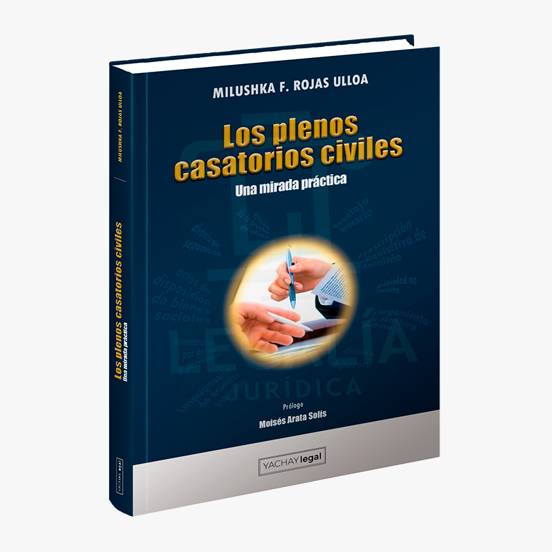 LOS PLENOS CASATORIOS CIVILES