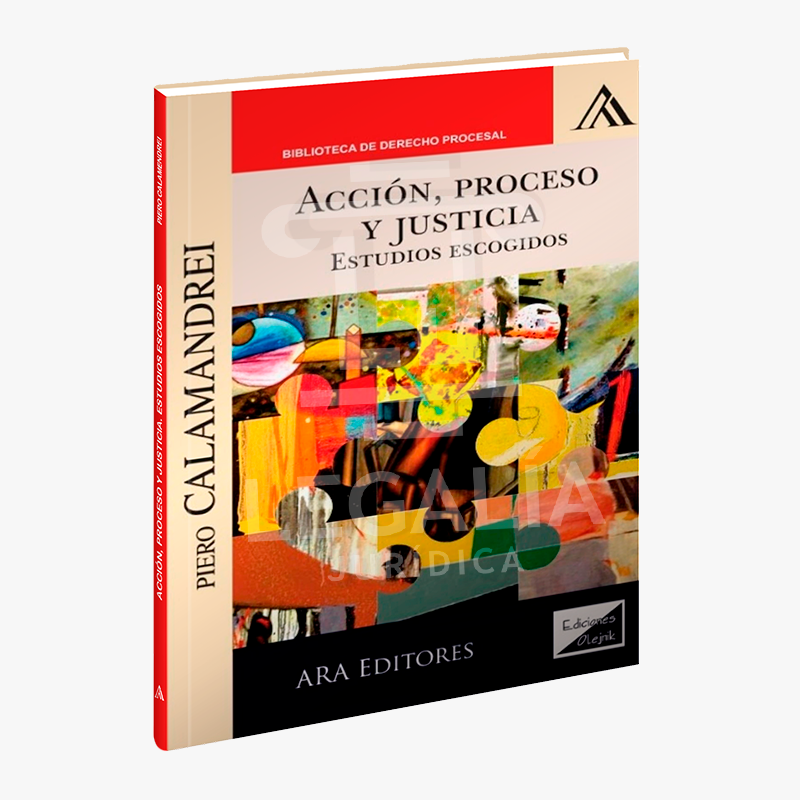 ACCION PROCESO Y JUSTICIA