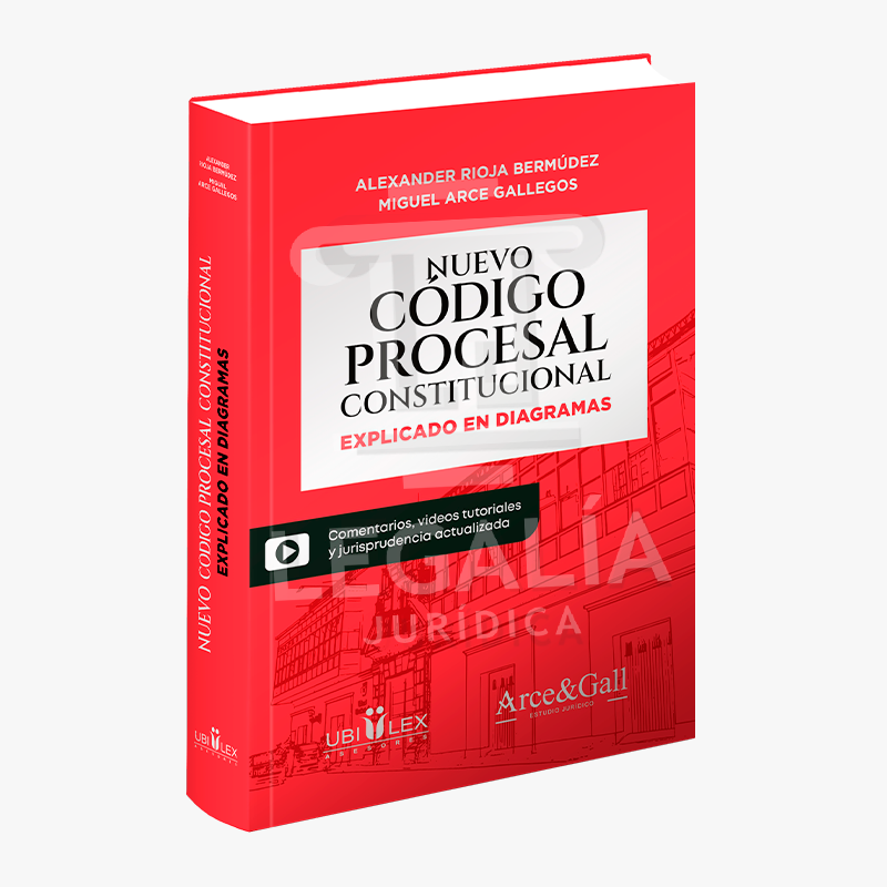 CODIGO PROCESAL CONSTITUCIONAL EN DIAGRAMAS ALEXANDER RIOJA