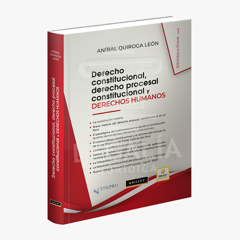 DERECHO CONSTITUIONAL, DERECHO PROCESAL CONSTITUCIONAL Y DERECHOS HUMANOS 8 DERECHO CONSTITUIONAL DERECHO PROCESAL CONSTITUCIONAL Y DERECHOS HUMANOS