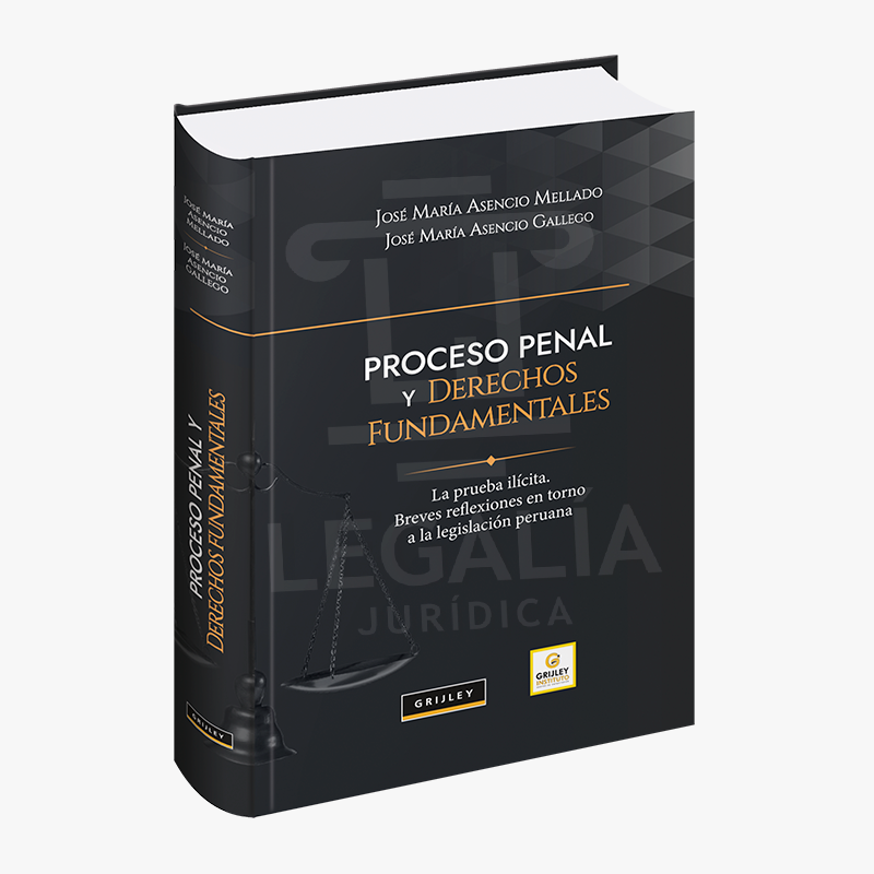 PROCESO PENAL Y DERECHOS FUNDAMENTALES 4 PROCESO PENAL Y DERECHOS FUNDAMENTALES