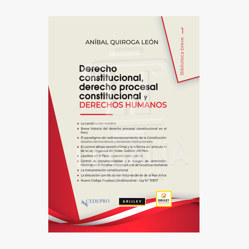 DERECHO CONSTITUIONAL, DERECHO PROCESAL CONSTITUCIONAL Y DERECHOS HUMANOS 2 DERECHO CONSTITUIONAL DERECHO PROCESAL CONSTITUCIONAL Y DERECHOS HUMANOS