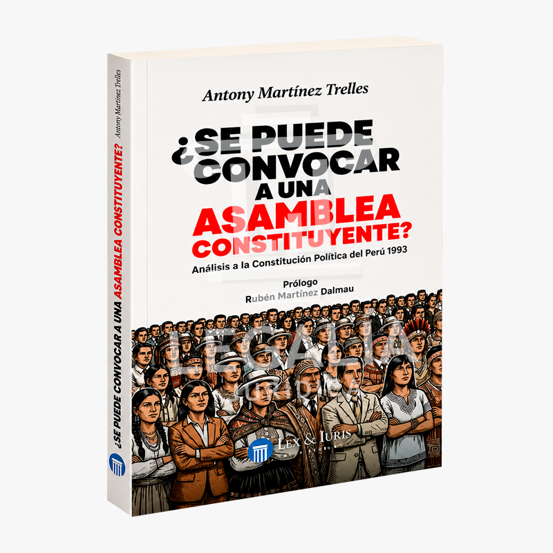 SE PUEDE CONVOCAR A UNA ASAMBLEA CONSTITUYENTE