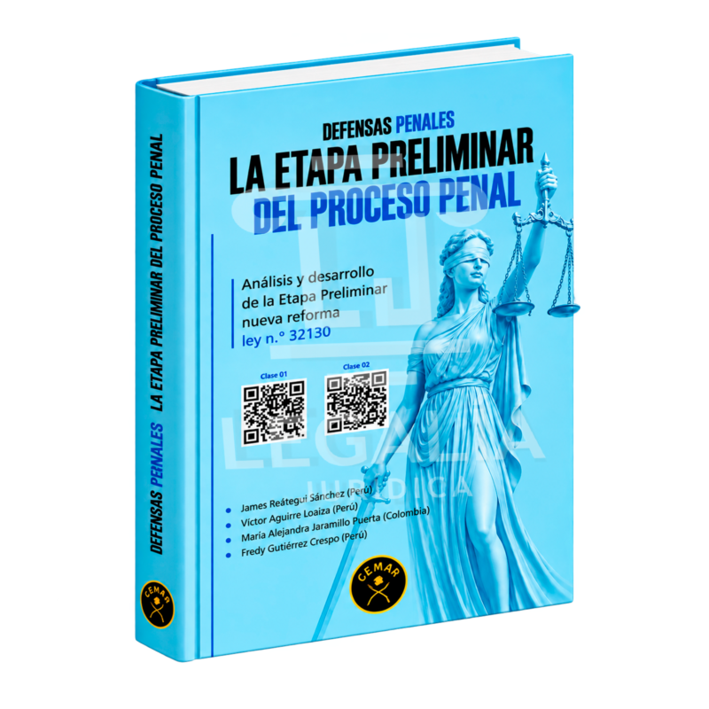 DEFENSAS PENALES LA ETAPA PRELIMINAR DEL PROCESO PENAL 24 DEFENSAS PENALES LA ETAPA PRELIMINAR